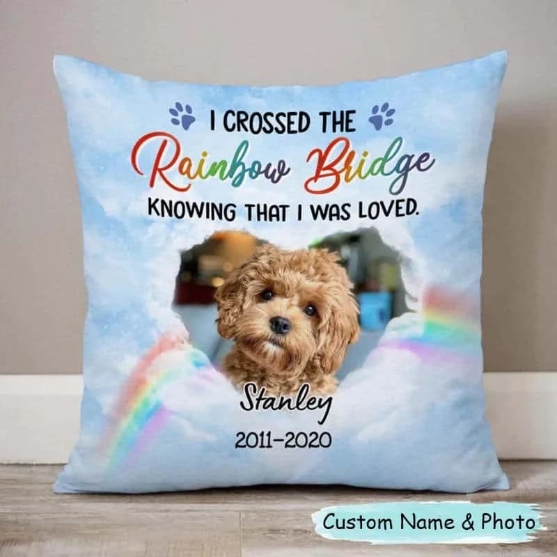 In Memory of Dog Pillow