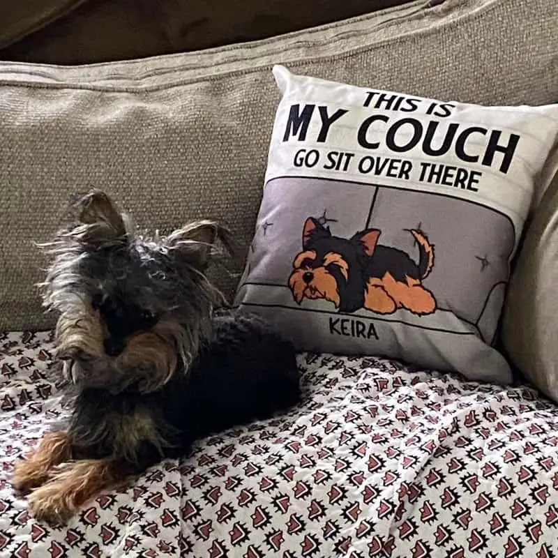 My Couch Pillow