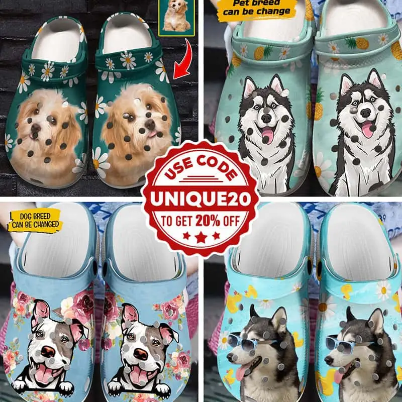Dog Cartoon Shoes