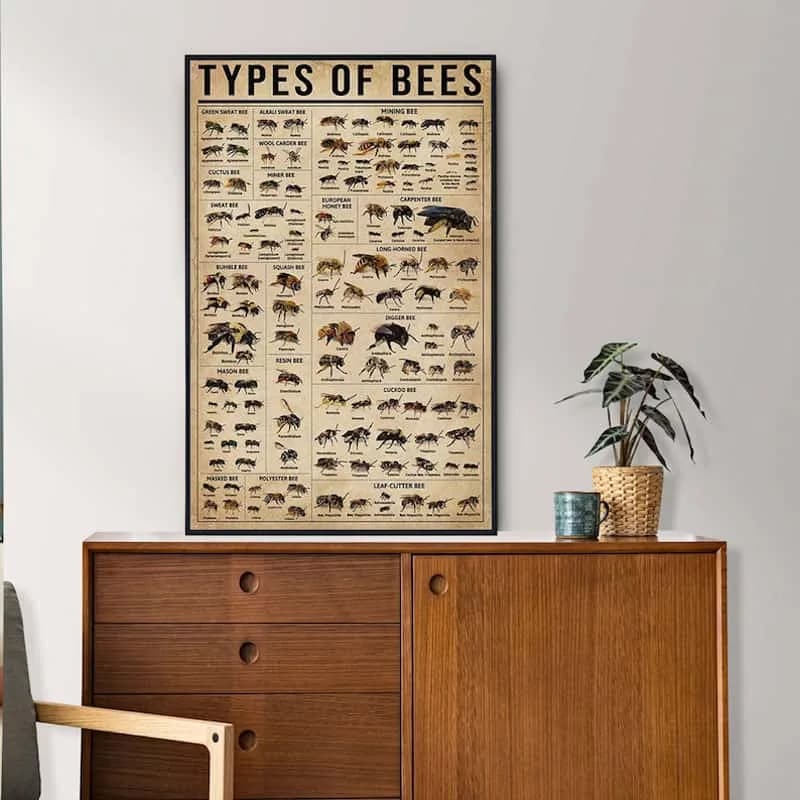 Type of Bees Wall Art