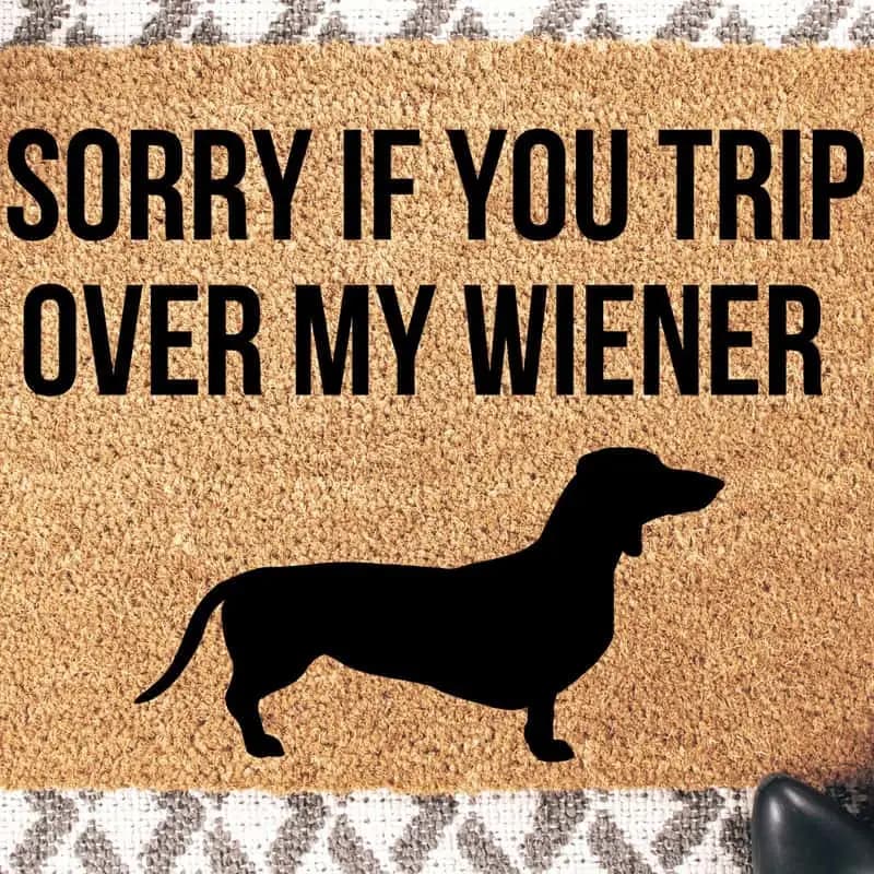 Trip Over my Weiner Doormat